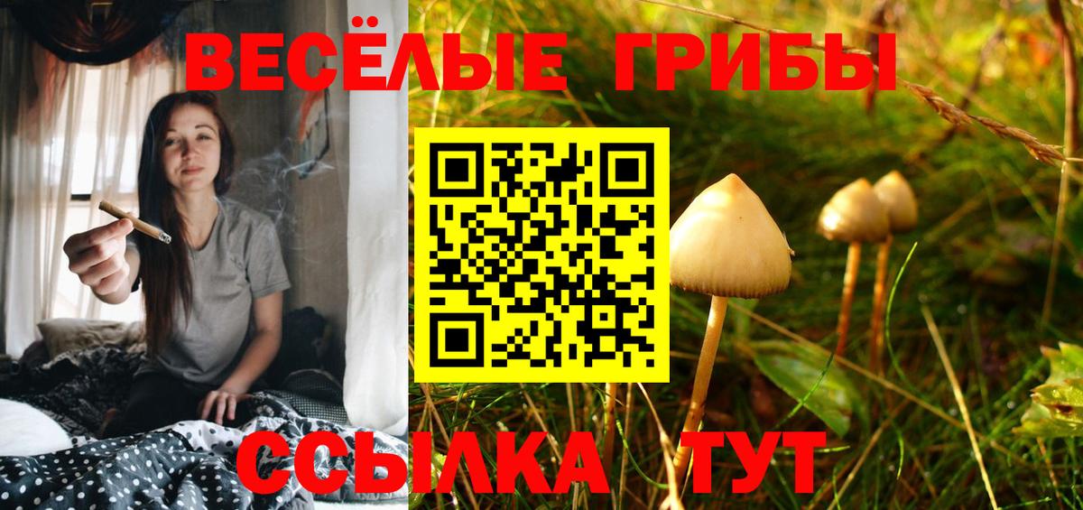 Псилоцибиновые грибы Psilocybine cubensis  Вход с VPN  Менделеевск  Галлюциногенные грибы мицелий 